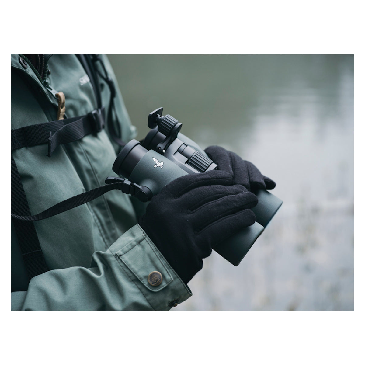 Swarovski 10x42 NL Pure Binocular
